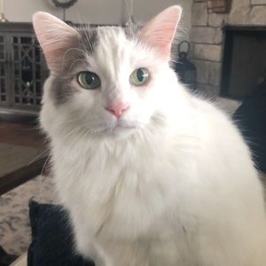 Meet your Posher, Haley